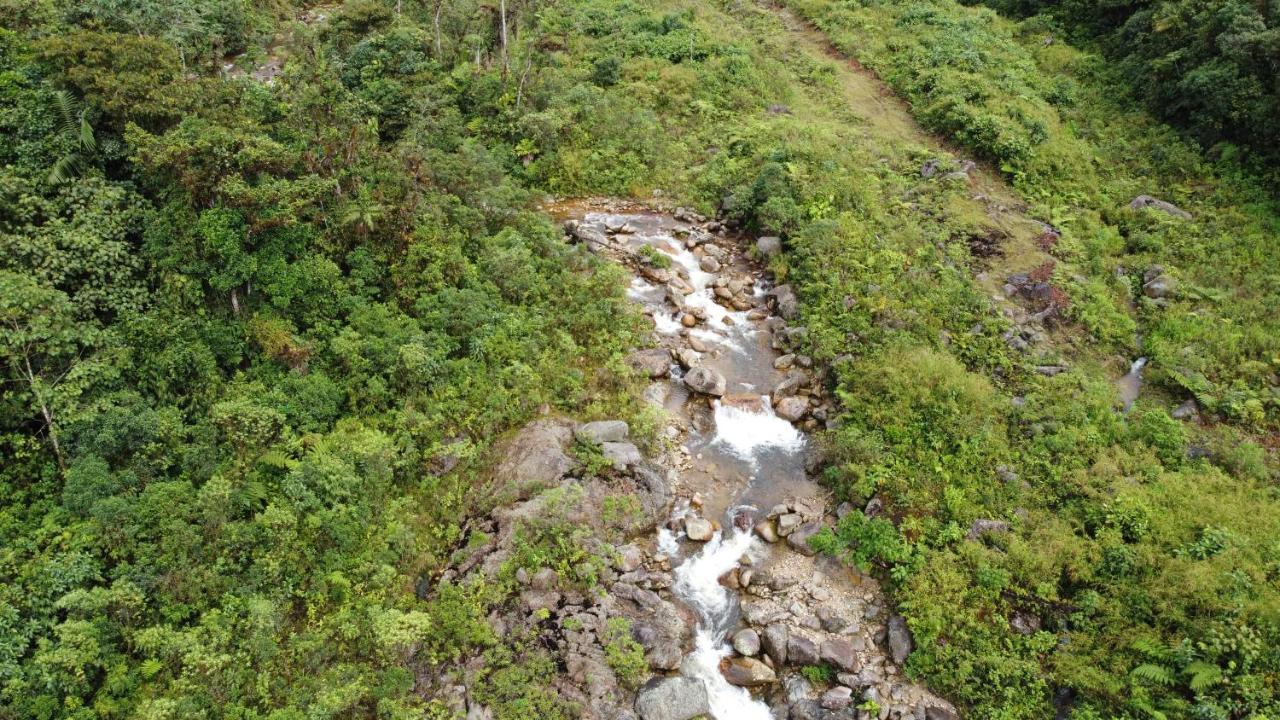 Hostal De La Montana Ecoturismo Mocoa Eksteriør bilde